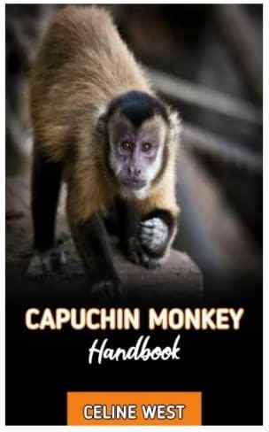 CAPUCHIN MONKEY HANDBOOK: Exclusive Owners Guide on Capuchin monkey ...