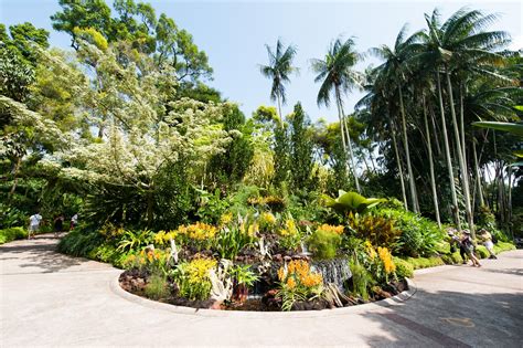 Singapore Botanic Gardens | Homepage