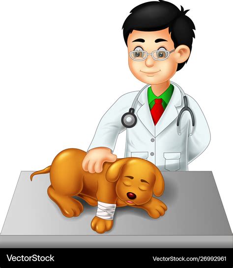 Cartoon Vet With Dog