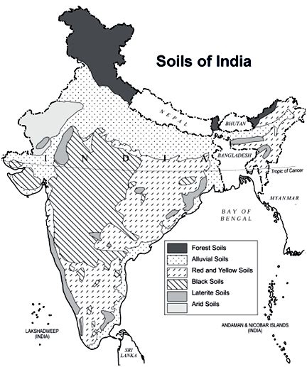 Types of Soils in India – GKToday