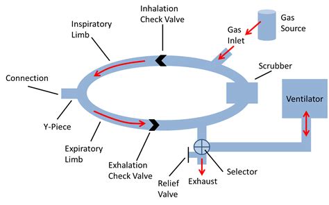 Xenon133 Rebreathing Systems Lung Ventilation Systems