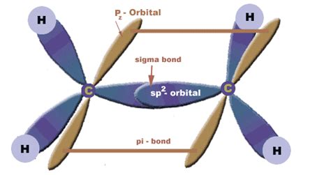 Hybridization