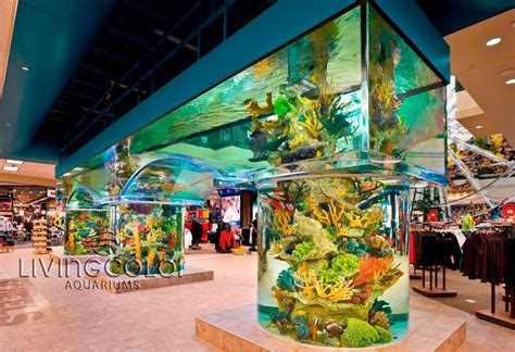 Fish Tank of the Week: Scheels All Sports Large Fish Tanks, Cool Fish ...