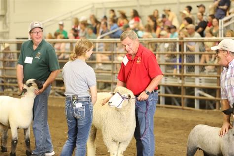 N.D. leaders experience 4-H livestock showmanship - Morning Ag Clips