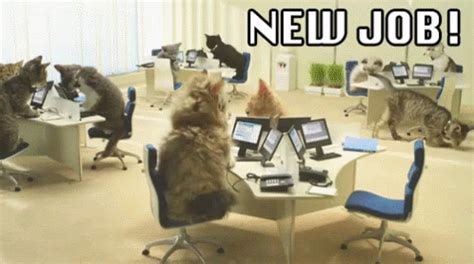 New Job GIF - NewJob - Discover & Share GIFs