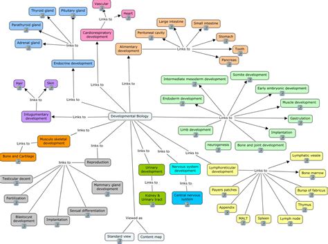 Embryology Concept Map