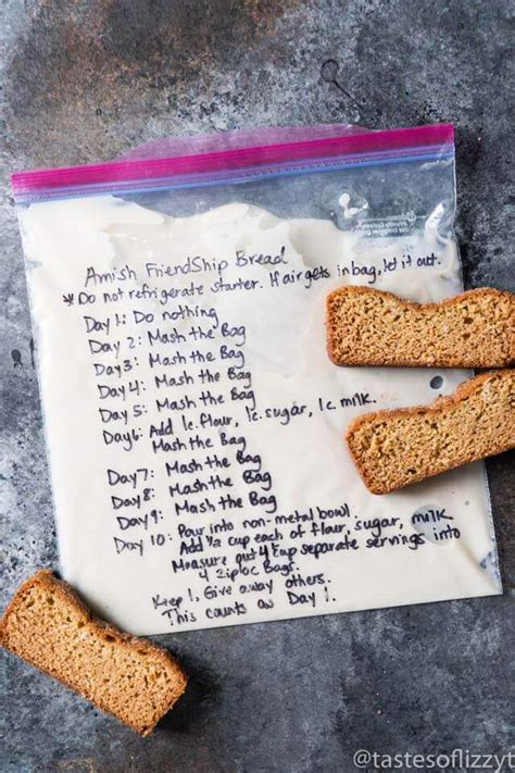 Amish Friendship Bread Starter Recipe {Hints for Storing and Using this ...