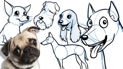 How to Draw a Cartoon Dog - All breeds, and on different angles! - YouTube