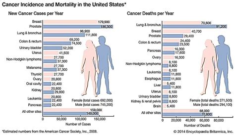 Incidence and mortality of different types of cancer in both men and ...