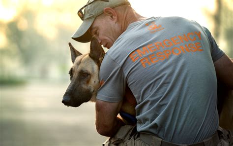 How Harvey's Animal Rescue Organizations Avoided Repeating The Problems ...