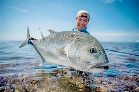 Tips How to Catch A Giant Trevally On A Fly - Alphonse Fishing Co™