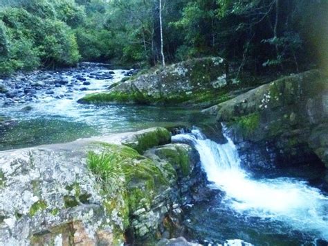 Barrington Tops Camping & 4WD Guide - Everything You Need To Know ...