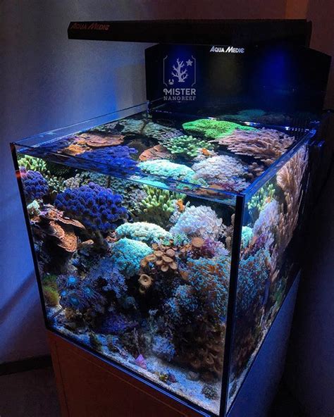 The Nano Reef Blueprint - Mister Nano Reef