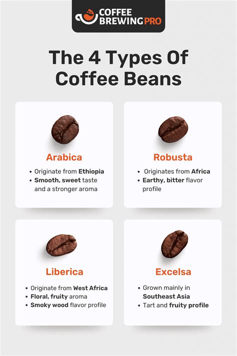 The 4 Different Types Of Coffee Beans Explained | Coffee recipes ...