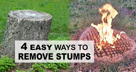 How to Remove Tree Stumps (4 EASY DIY Methods) – DIY Projects, Patterns ...