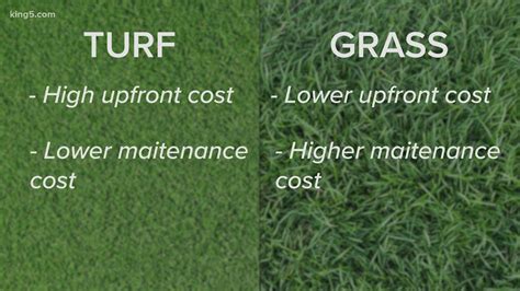 Turf Vs Grass Online Sales | www.pinnaxis.com