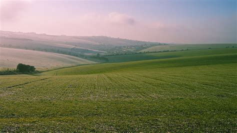 HD wallpaper: nature, plain, land, landscape, grass, grassland, field ...