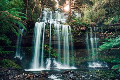 Russell Falls Tasmania Australia [6129x4086][OC] Tasmania, National ...