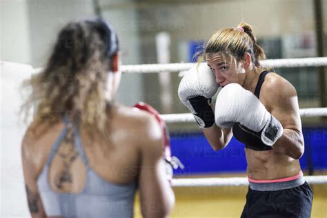 Female boxers sparring in the ring of a boxing club stock photo