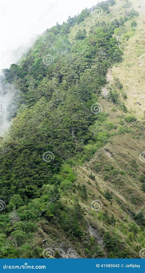 The cloud on the mountain stock photo. Image of arrive - 41585042