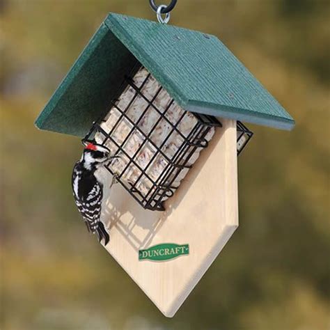 Woodpecker Feeder Plans - Rumah Melo