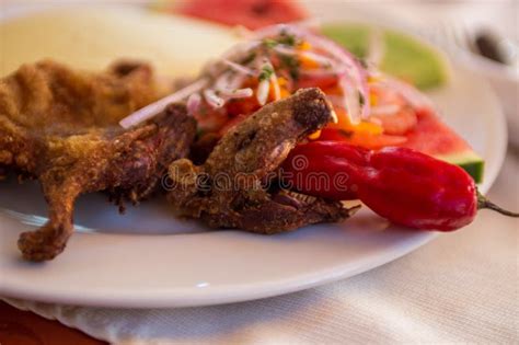 Peruvian Cuy Served on a Plate Stock Photo - Image of onions ...