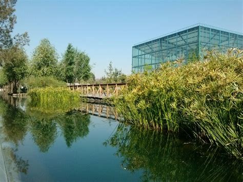 Chinampas in Mexico City | Ancient Aztec | Pinterest