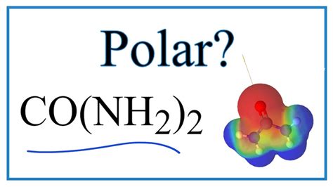 Is CO(NH2)2 (Urea) Polar or Non-Polar? - YouTube