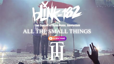 BLINK 182 - ALL THE SMALL THINGS (LIVE CONCERT AT ZIGGO DOME) | THE ...