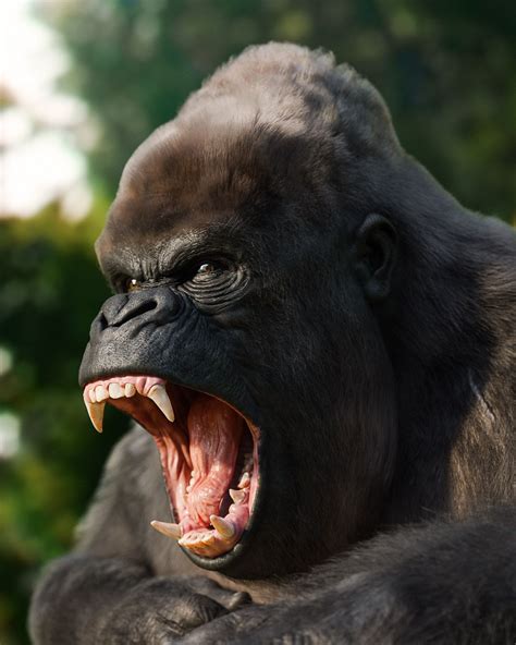 Realistic Angry Gorilla - ZBrushCentral | Angry animals, Gorillas art ...