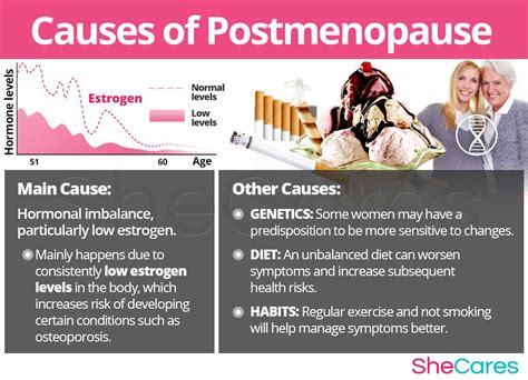 Causes of Postmenopause Symptoms | Low estrogen, Low estrogen symptoms ...