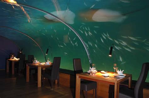 Hilton Maldives Resort & Spa underwater Restaurant (With images ...