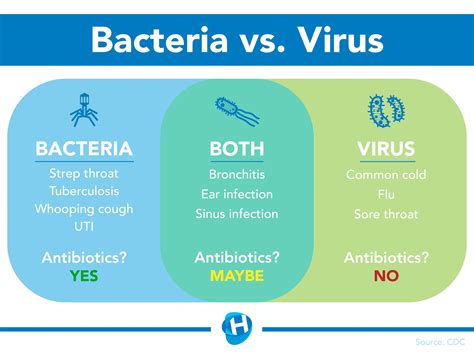 Can Bacteria Destroy A Virus: Unveiling The Microscopic Battle