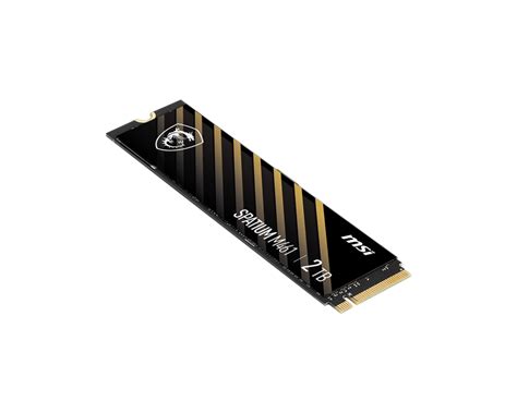 SPATIUM M461 PCIe 4.0 NVMe M.2