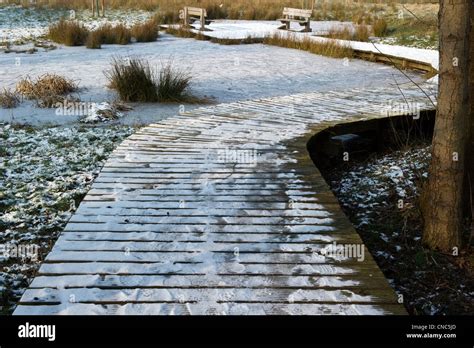 snowy path park Stock Photo - Alamy