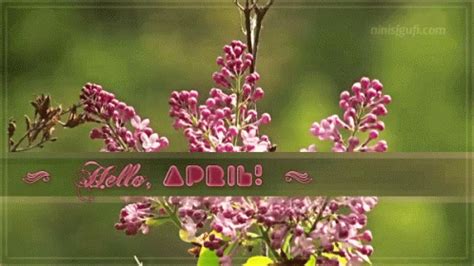 April Spring GIF - April Spring Flowers - Discover & Share GIFs