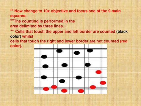 PPT - RBC Manual Count PowerPoint Presentation, free download - ID:3725796