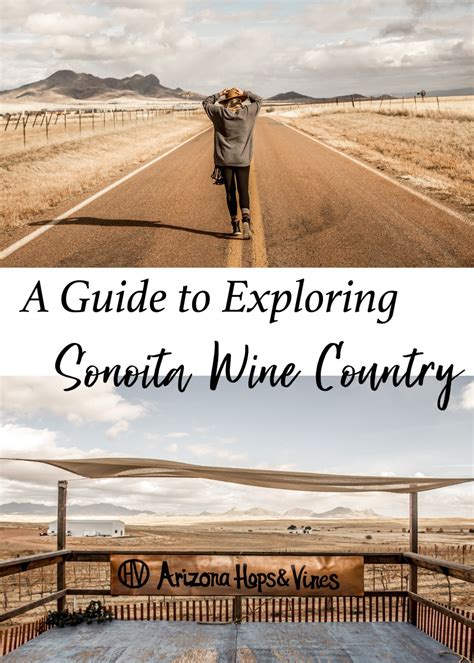 A Guide to Exploring Sonoita Wineries - Bad Tourist Travel & Lifestyle