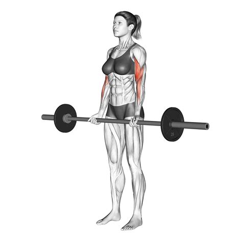 Barbell Curls vs Dumbbell Curls: 5 Big Differences Explained - Inspire US