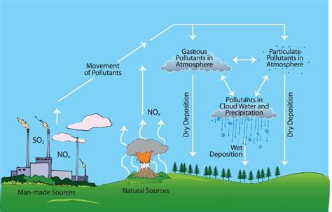 How Does Acid Rain Affect the Environment | Earth.Org