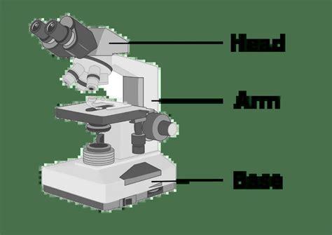 Parts of a microscope with labeled diagram and functions Biology Notes Web