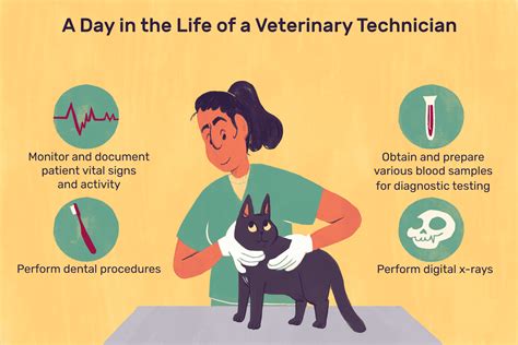 Veterinary Technician Job Description: Salary, Skills, & More