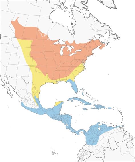 2024 Baltimore Oriole Migration Map - Terza Michal