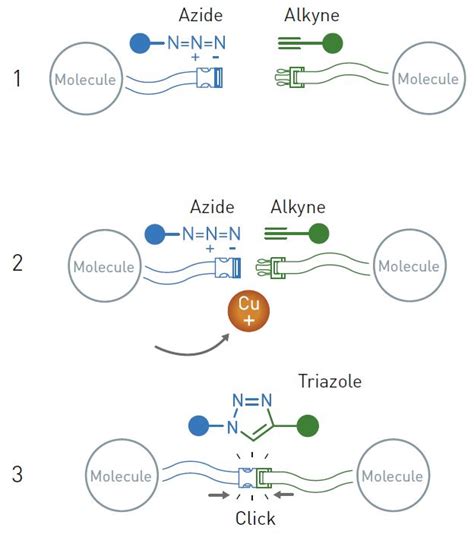 The Nobel Prize in Chemistry 2022 - Popular information - NobelPrize.org