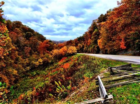 Fall foliage on the Natchez Trace Parkway