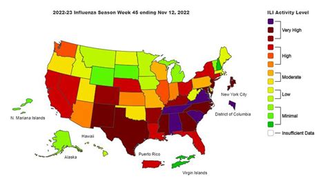 Flu 2024 Map - Fern Orelie