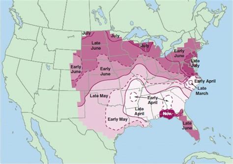 A Map Showing Which Time Of Year You're Most At Risk Of A Tornado ...