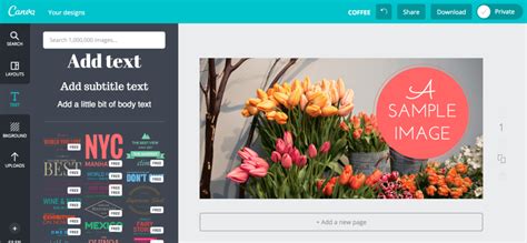 7 (Truly) Free Graphic Design Tools for Beginners - Big Sea