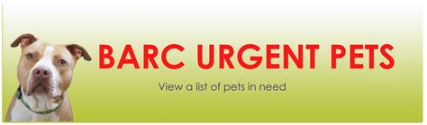 BARC Animal Shelter & Adoptions