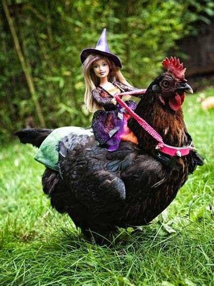 10 Chicken Costumes to Get the Coop Ready for Halloween | Pet chickens ...